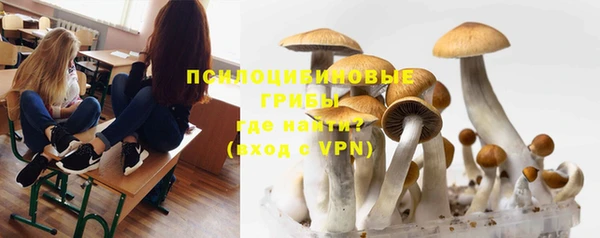 экстази Алексеевка