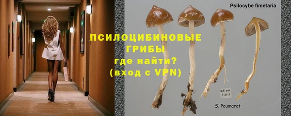 экстази Алексеевка