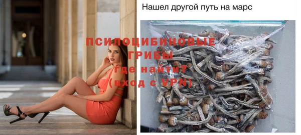 экстази Алексеевка