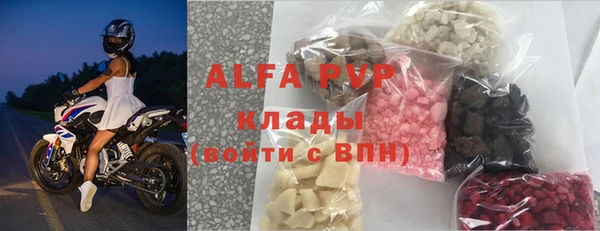 СК Алексин