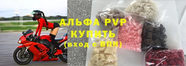 СК Алексин