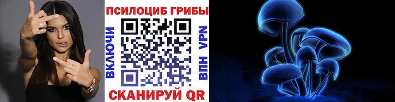 наркота Белоозёрский Галлюциногенные грибы Magic Shrooms